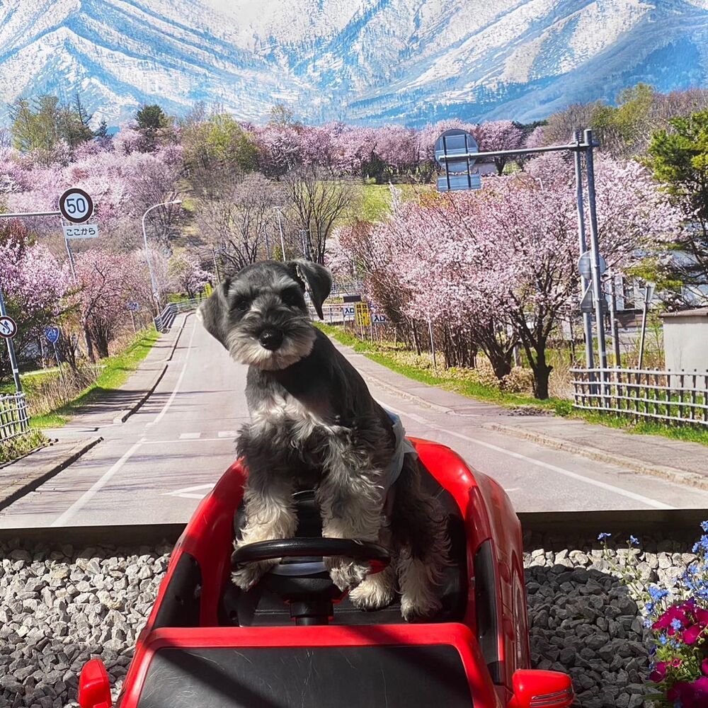 画像12021