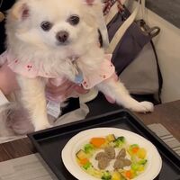 画像12123