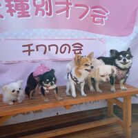 画像12205
