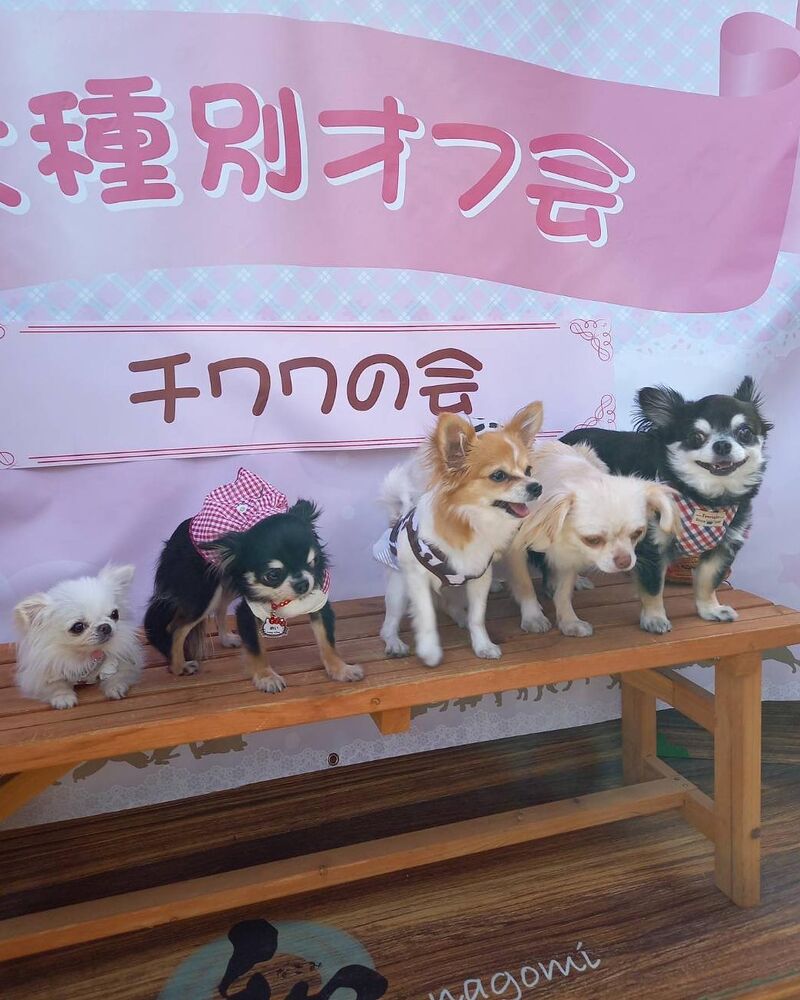 画像12205