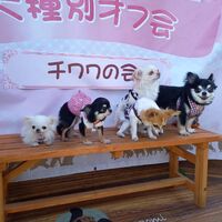 画像12206