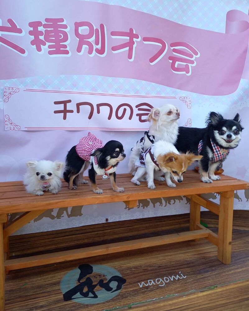 画像12206