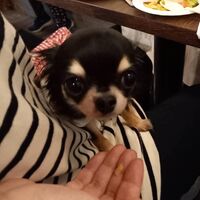 画像12210