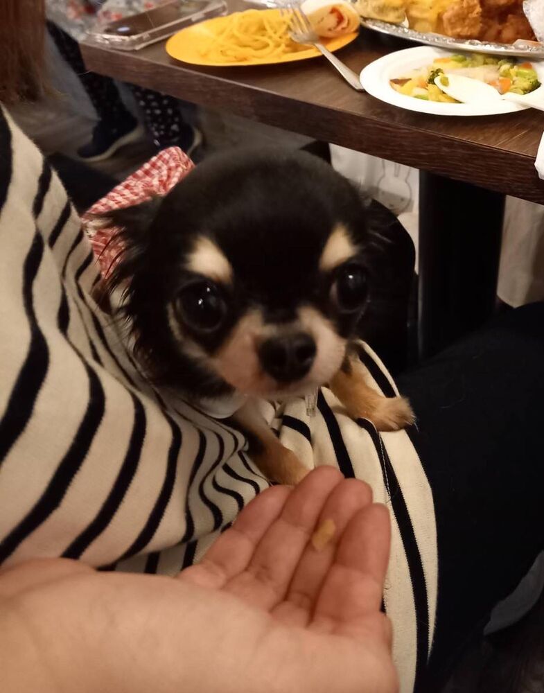 画像12210