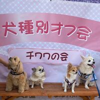 画像12216