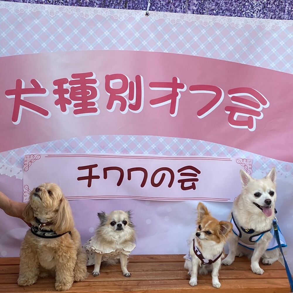 画像12217