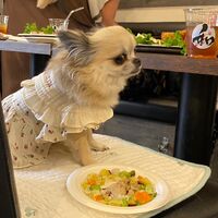 画像12220