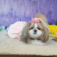 画像12298