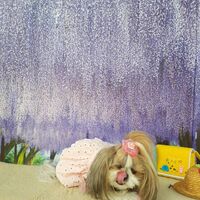 画像12300