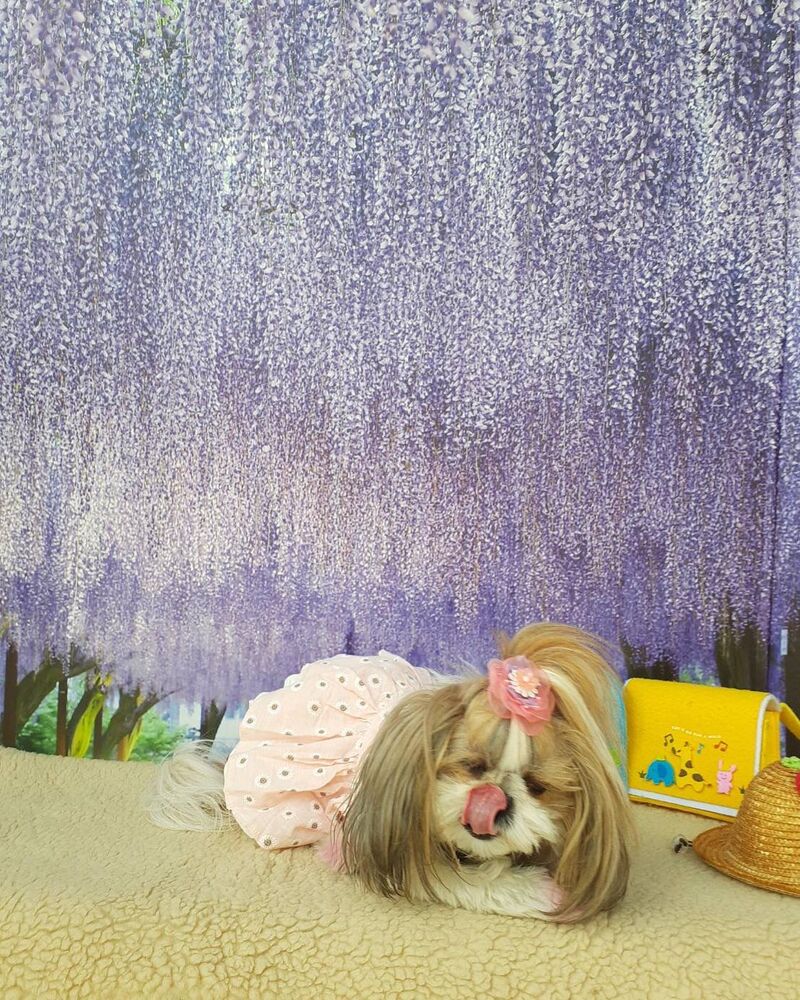 画像12300