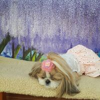画像12301
