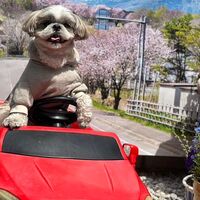 画像12311