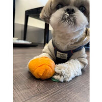 画像12316