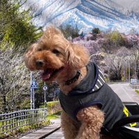 画像12318