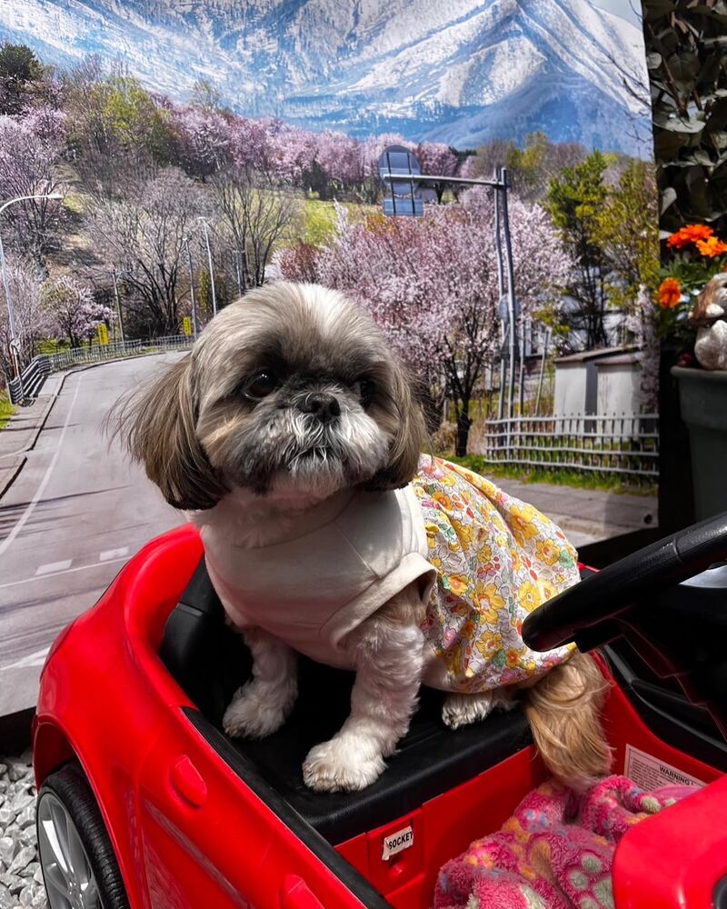 画像12333