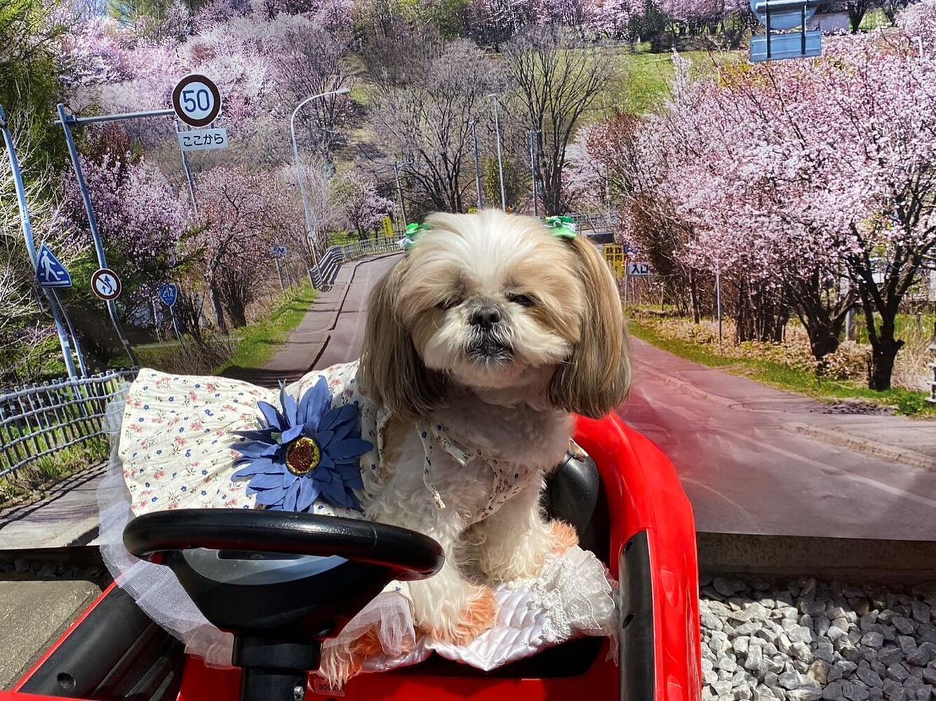 画像12619