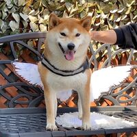 画像12704