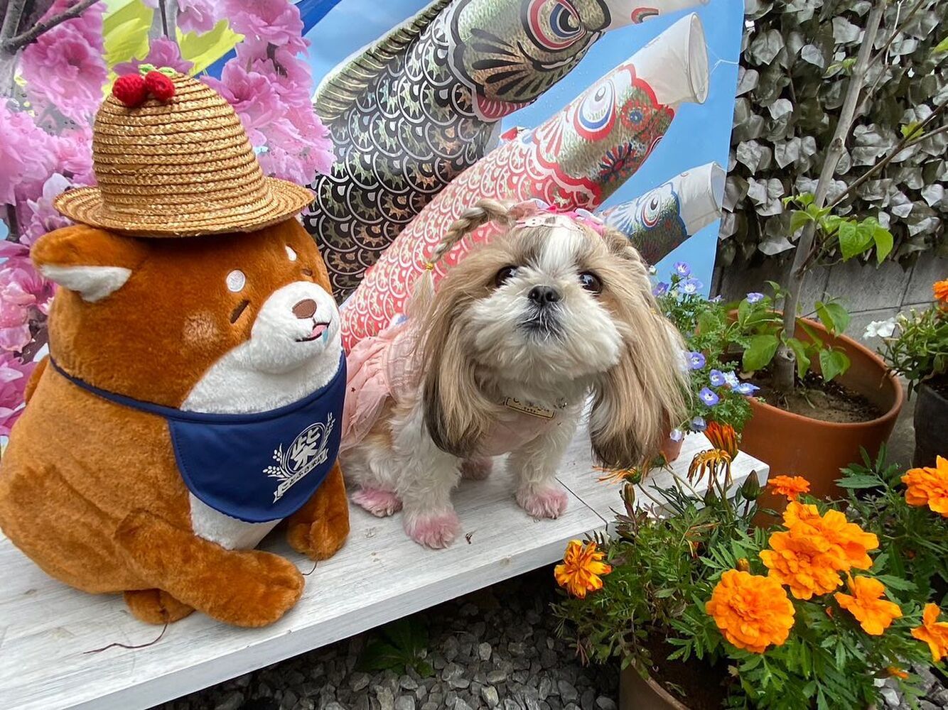 画像12823