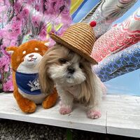 画像12827