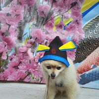 画像12849