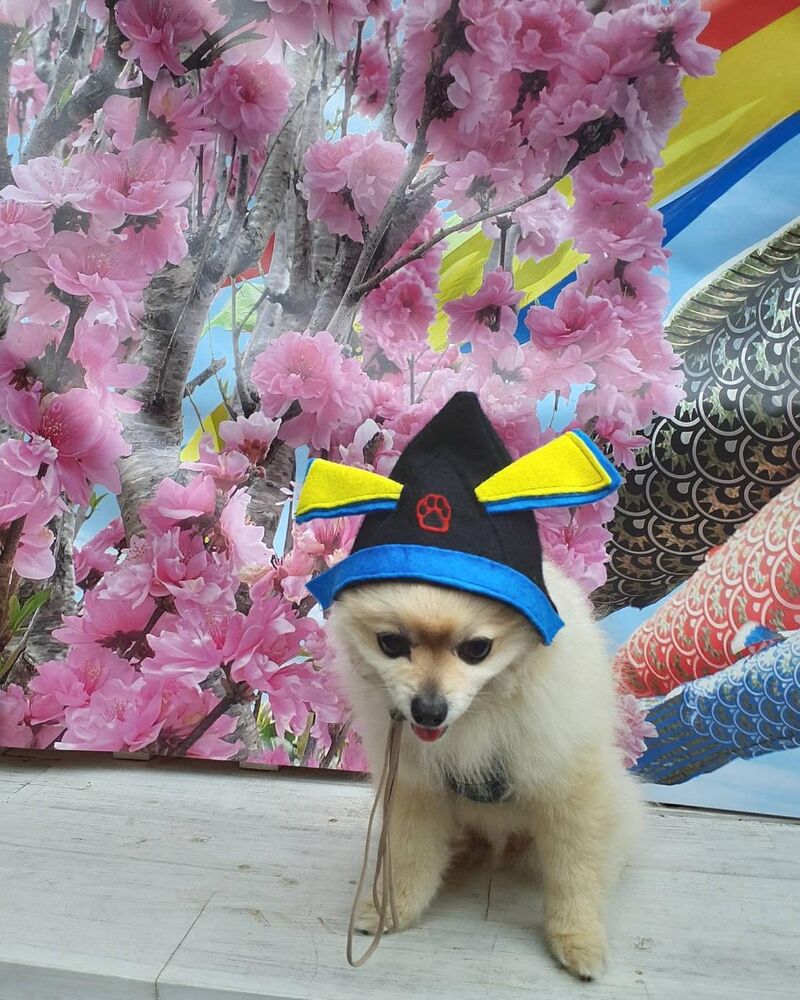 画像12849