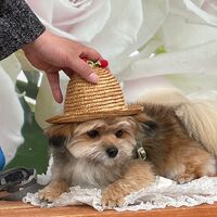 画像12880