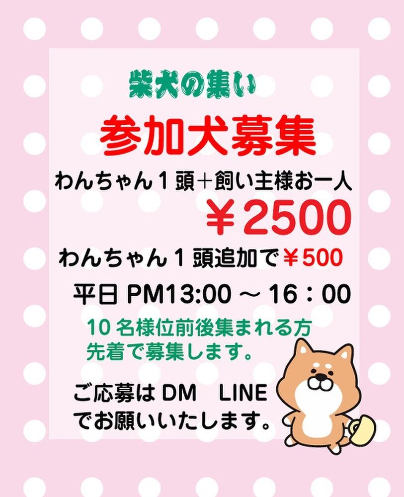 画像12905