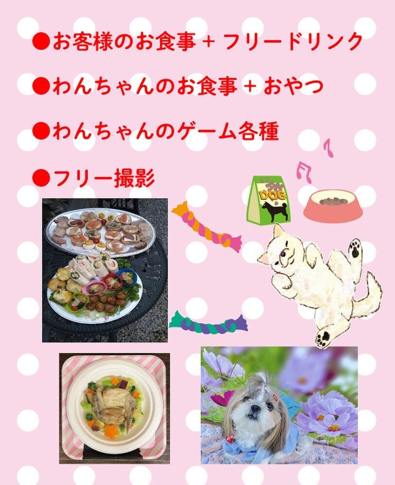 画像12906