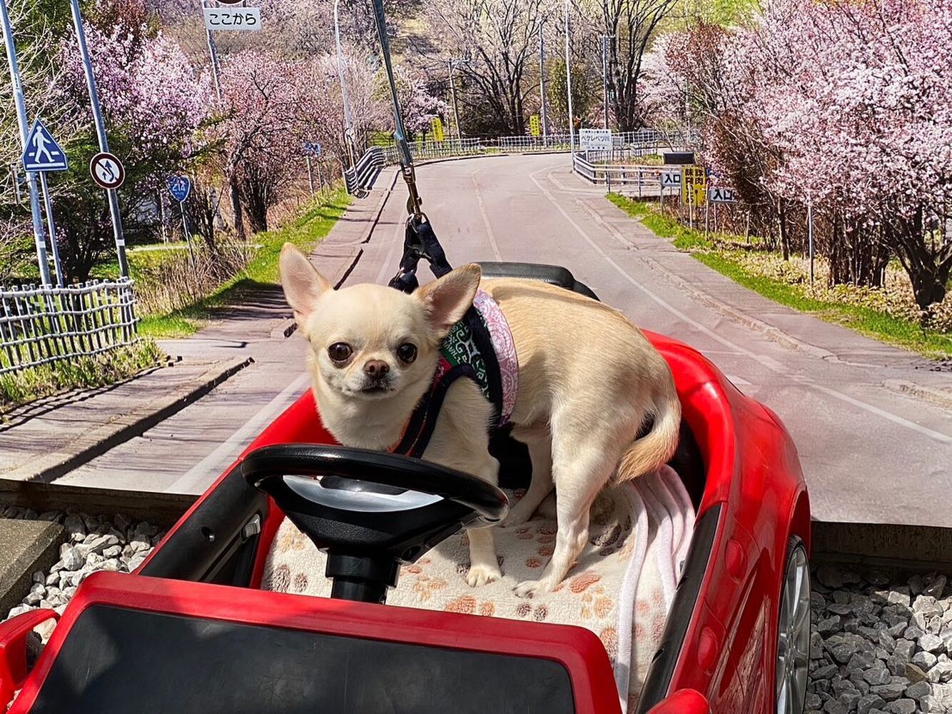 画像12953