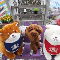 画像12976