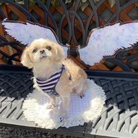 画像13054