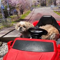 画像13060
