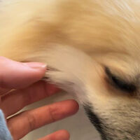 画像13078