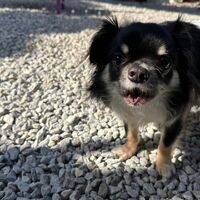 画像13091