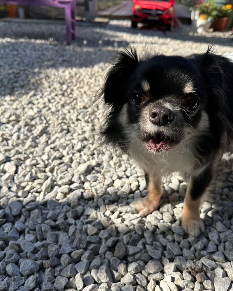 画像13091