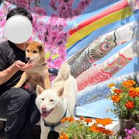 画像13169