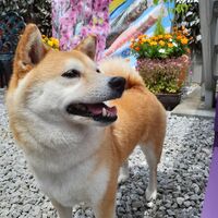 画像13177