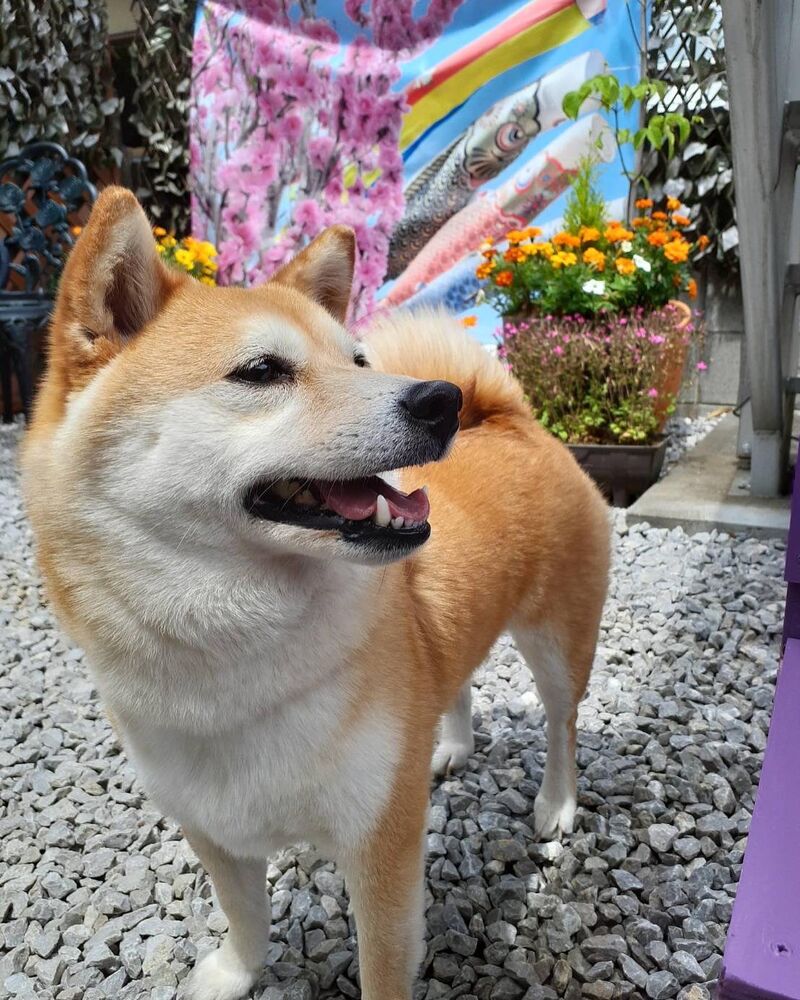 画像13177