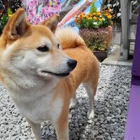 画像13178