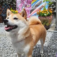 画像13179
