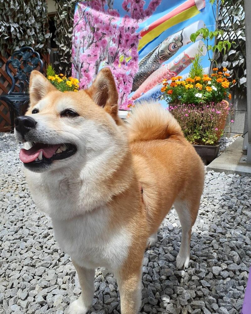 画像13179