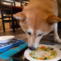 画像13183