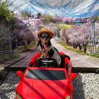 画像13213
