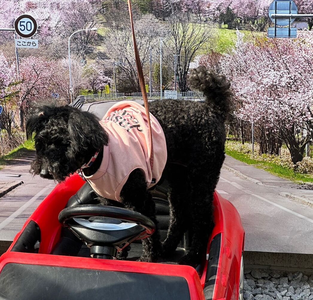 画像13260
