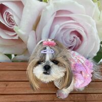 画像13300