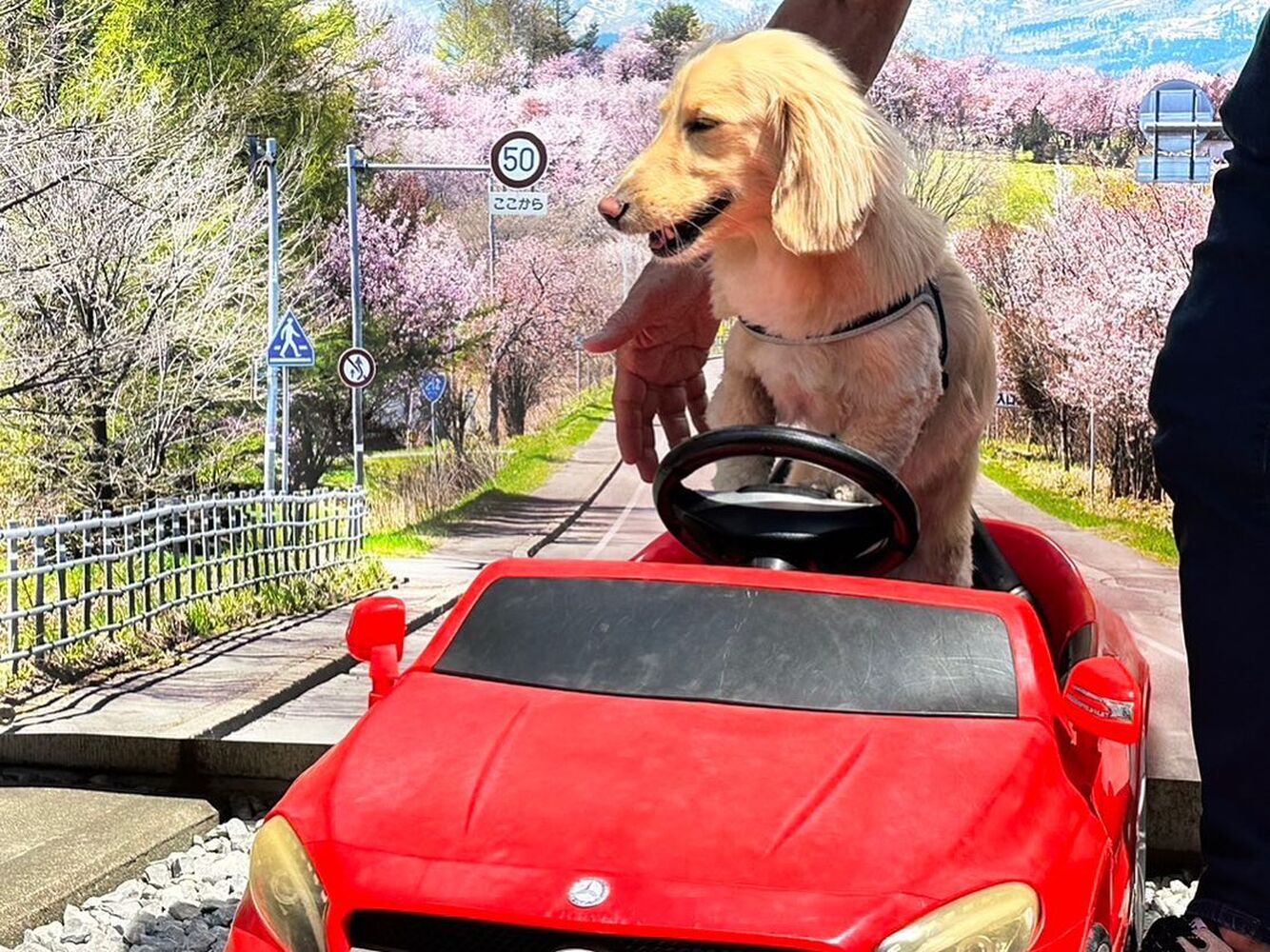 画像13325