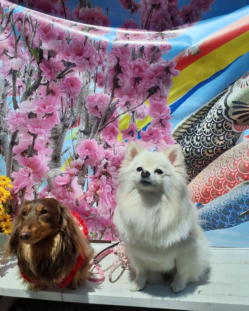 画像13344