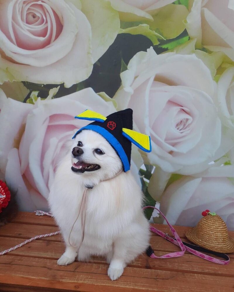 画像13345