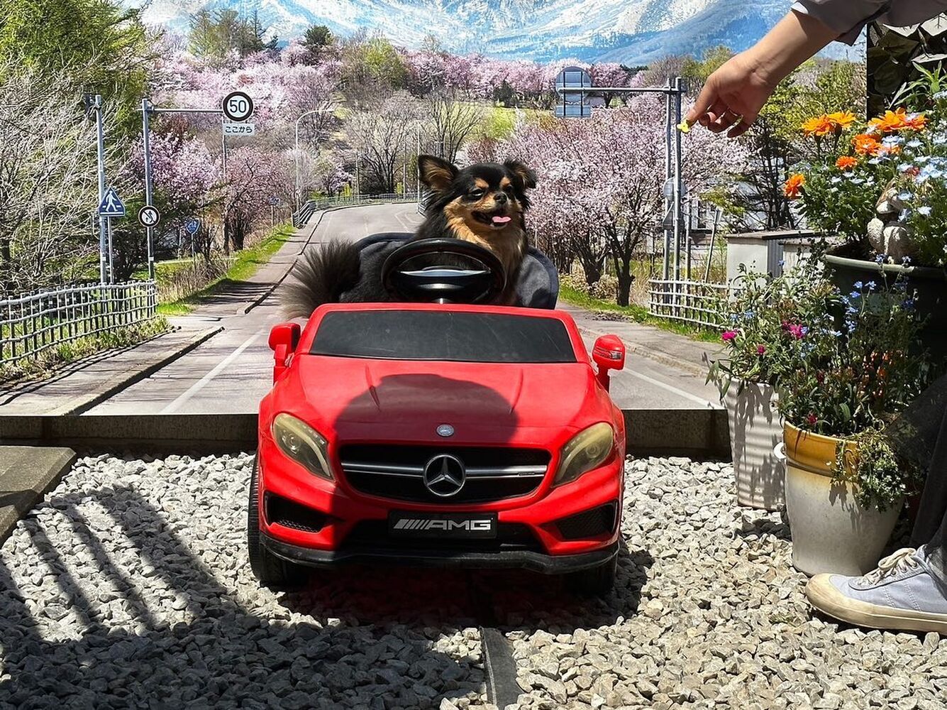 画像13377