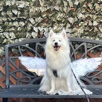 画像13457